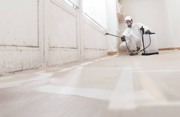 24/7 Emergency Mold Remediation experts in West Chicago, IL