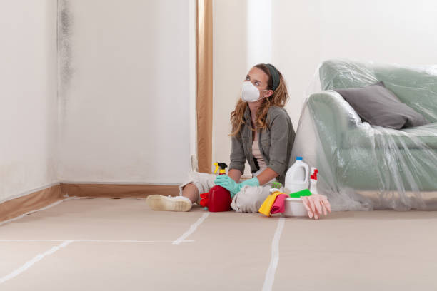Reliable Mold Remediation contractor in West Chicago, IL by Mold Remediation HQ